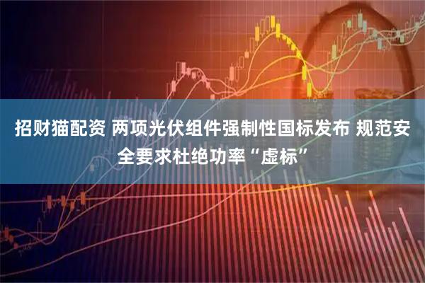 招财猫配资 两项光伏组件强制性国标发布 规范安全要求杜绝功率“虚标”