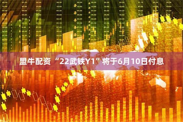 盟牛配资 “22武铁Y1”将于6月10日付息