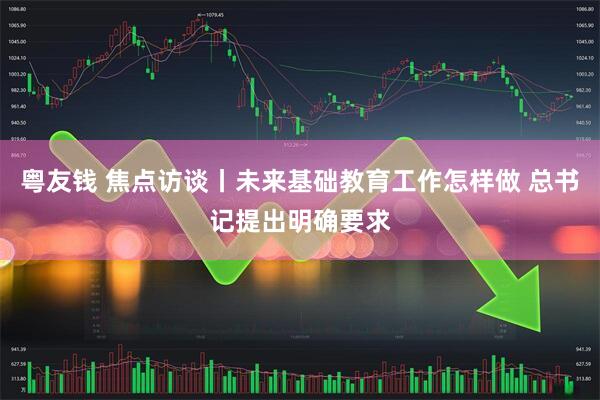 粤友钱 焦点访谈丨未来基础教育工作怎样做 总书记提出明确要求